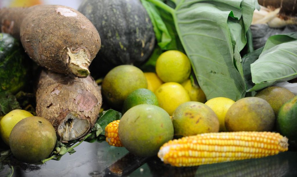 alimentos saudáveis