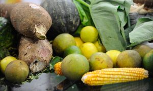 alimentos saudáveis