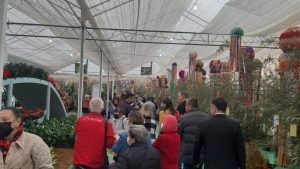 Expo Aflord x feira de flores (3)