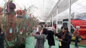 Expo-Aflord-x-feira-de-flores-4