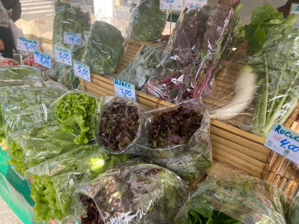 Feira Sustentável x produtos orgânicos