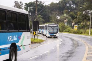 ônibus municipais