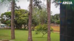Parque Cidade Natureza