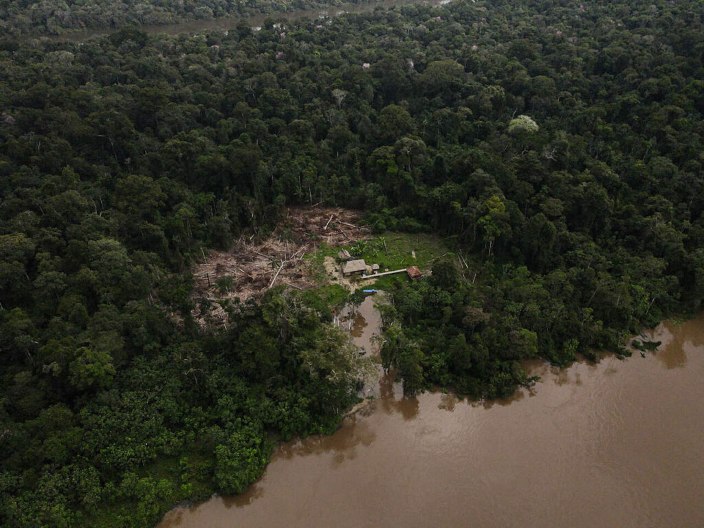 desmatamento Amazônia