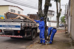Cata-Treco