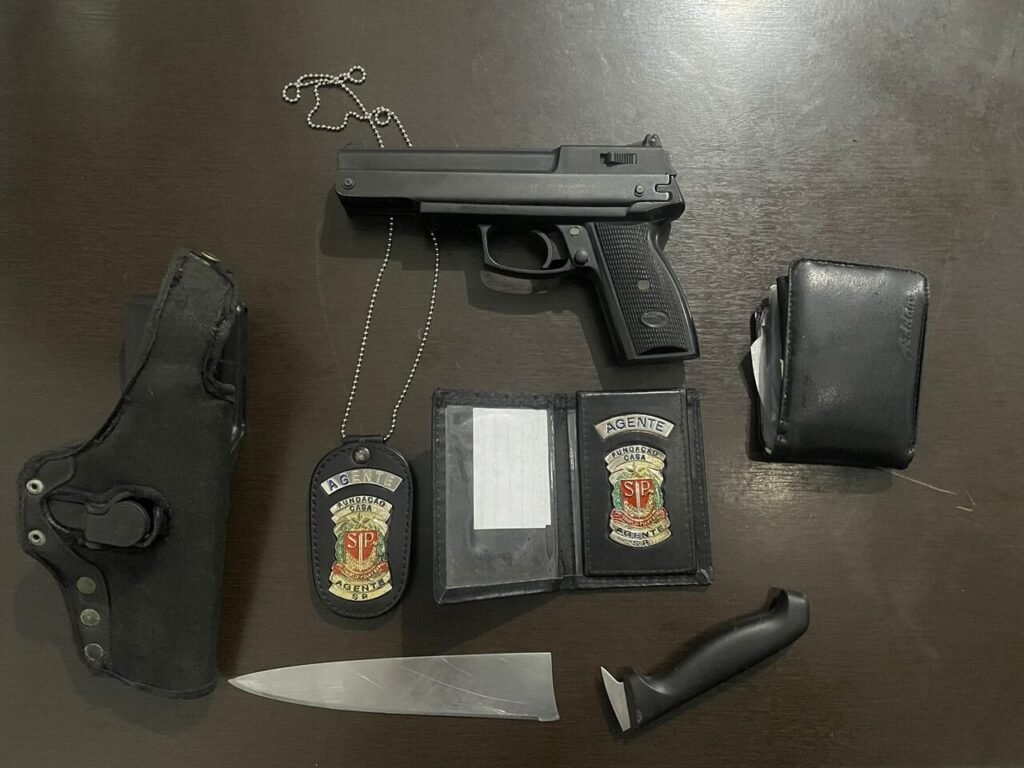 apreensão violência doméstica