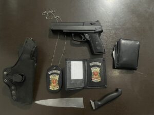 apreensão violência doméstica