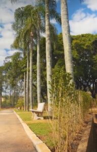 Parque Cidade Natureza