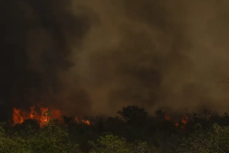 Incêndio no Parque Nacional de Brasília