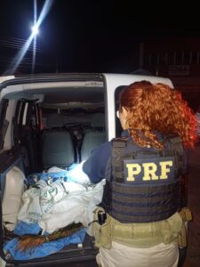 PRF recupera pavões vítimas de maus-tratos