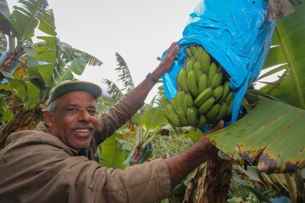 Governo de SP e Banco Mundial anunciam investimento de R$ 1,1 bilhão para fortalecer o agro paulista