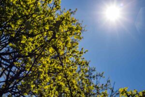 Clima ensolarado