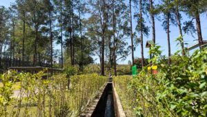 Secretaria Municipal de Turismo e Lazer premiará competidores do concurso fotográfico “Cidade Natureza” neste sábado (18)