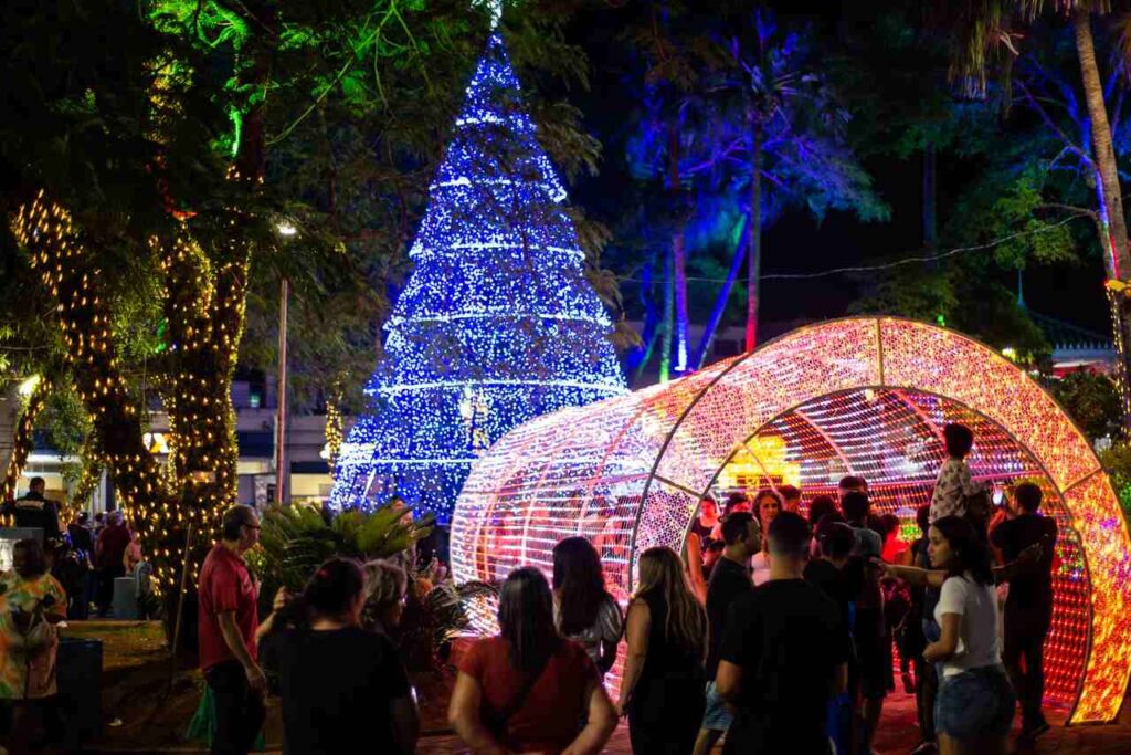 Natal Encantado