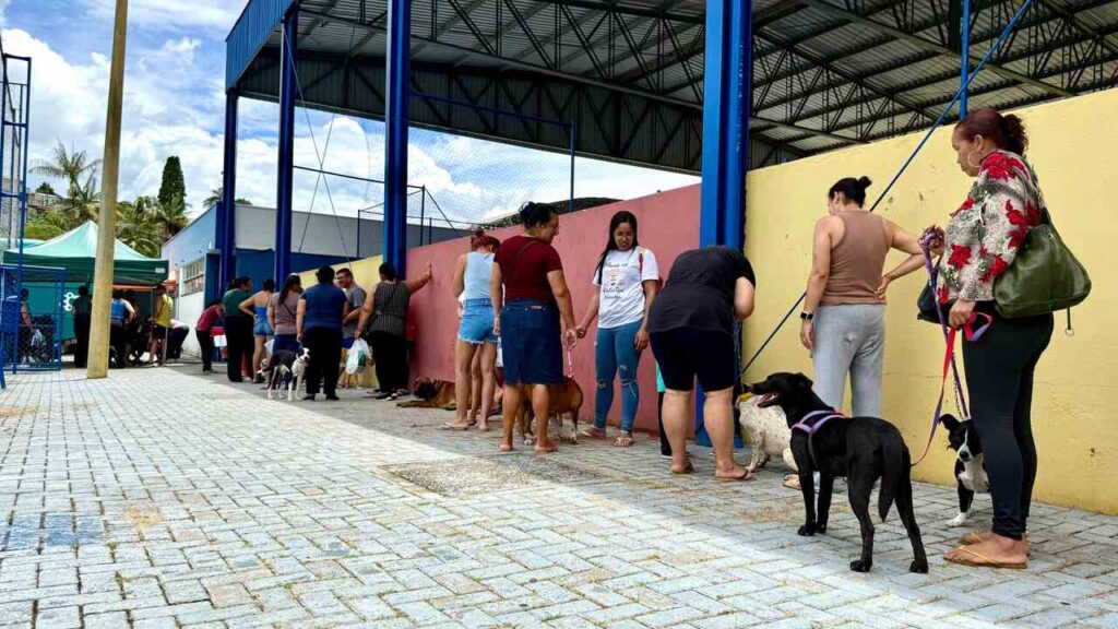 Castramóvel, castração de cachorros