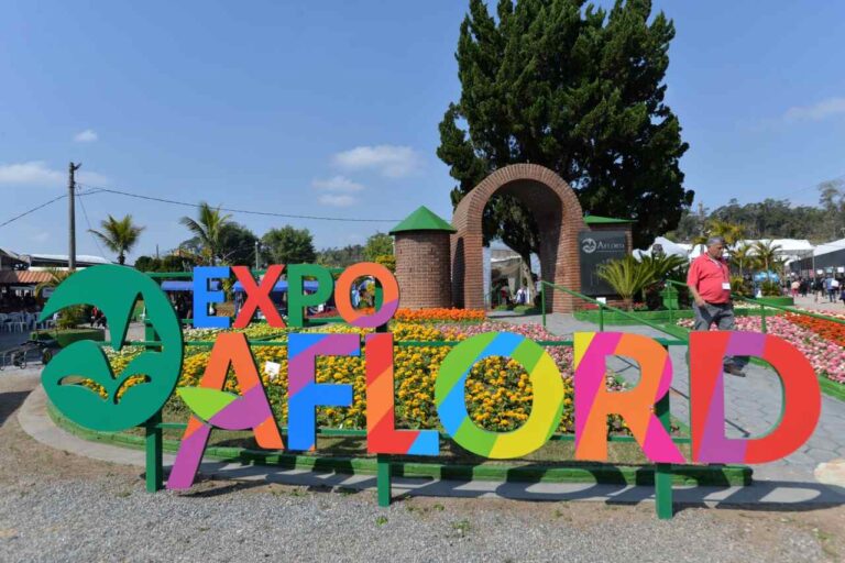Expo Aflord