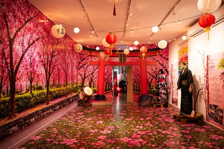 exposição japonesa no Museu de Arujá